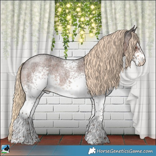 Horse Color:White Spotted Liver Red Roan 