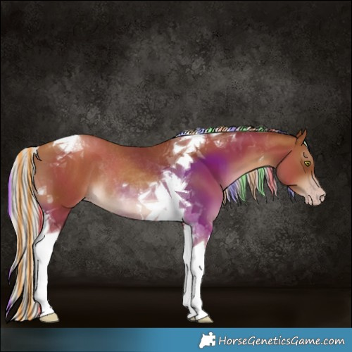 Horse Color:Gray Painted Silver Classic Champagne Tobiano Rabicano 