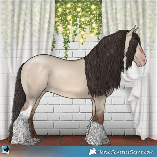 Horse Color:Sable Champagne Dun Tobiano 