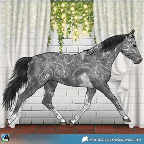 Horse Color:Black Ice Mushroom Tobiano Rabicano 