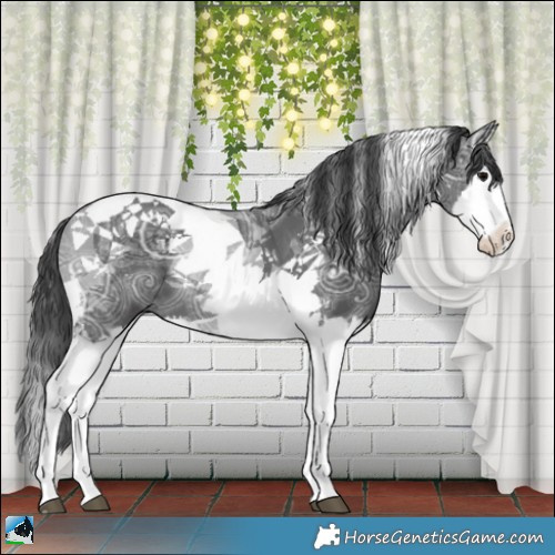 Horse Color:Black Ice Splash Tobiano 