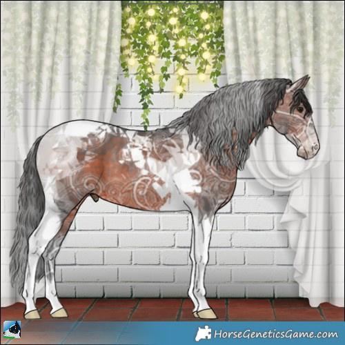 Horse Color:Brown Ice Tobiano Rabicano 