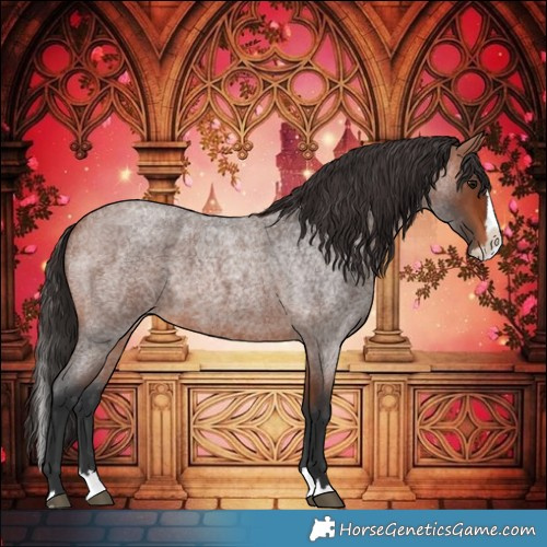 Horse Color:Bay Roan Splash 