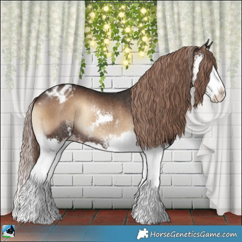 Horse Color:Liver Red Onyx Sabino Splash Varnish Rabicano 