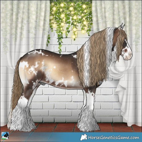 Horse Color:White Spotted Liver Red Onyx Splash Rabicano 