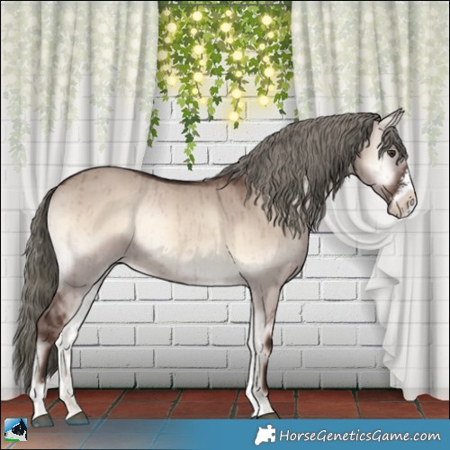 Horse Color:Liver Red Dun Onyx Mushroom Sabino Rabicano Brindle