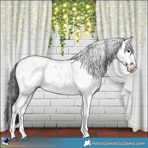 Horse Color:Grullo Onyx Mushroom Sabino Rabicano Brindle 