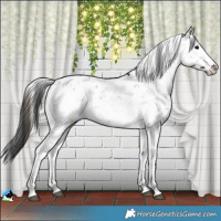 Horse Color:Grullo Onyx Mushroom Sabino Rabicano Brindle 