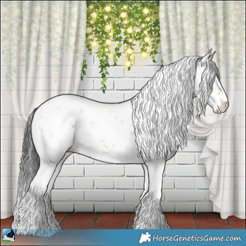 Horse Color:Brown Dun Mushroom Sabino Appaloosa Rabicano Brindle