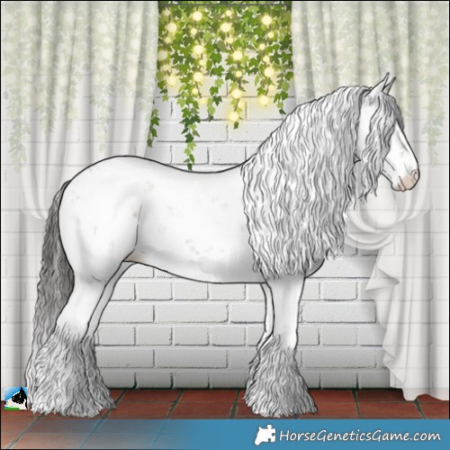 Horse Color:Brown Dun Mushroom Sabino Appaloosa Rabicano Brindle 