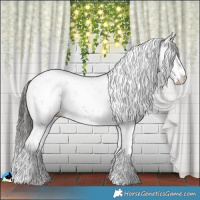 Horse Color:Brown Dun Mushroom Sabino Appaloosa Rabicano Brindle 