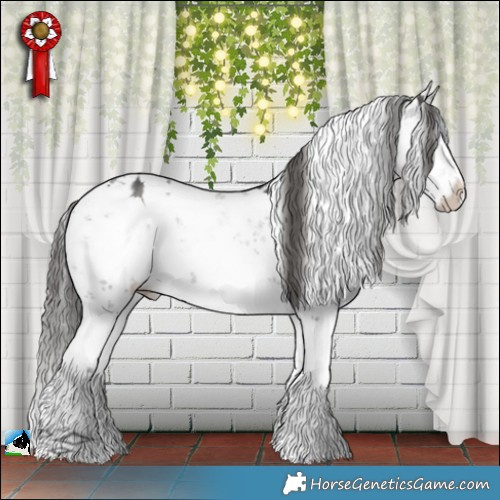 Horse Color:Grullo Mushroom Sabino Blanket Brindle 