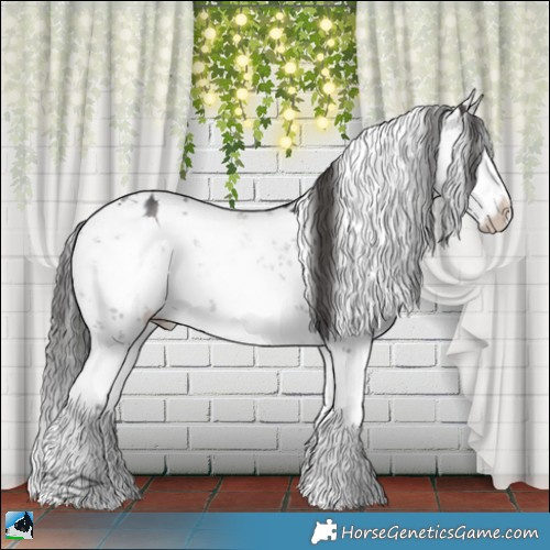 Horse Color:Grullo Mushroom Sabino Appaloosa Brindle 