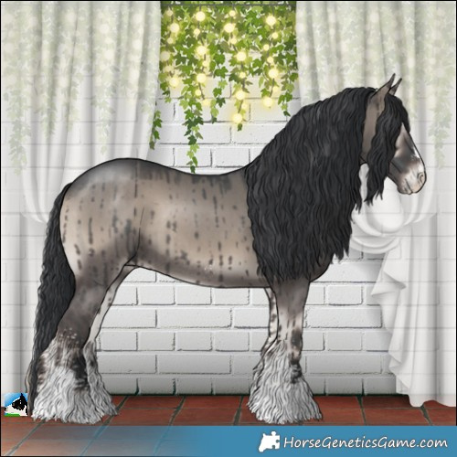 Horse Color:Grullo Onyx Sabino Rabicano Brindle 