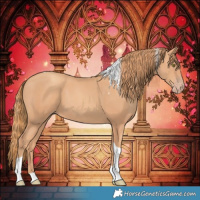 Horse Color:Gold Champagne Tobiano 