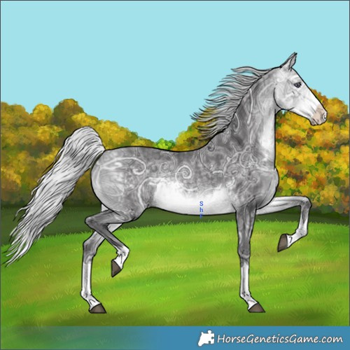 Horse Color:Silver Buckskin Chinchilla Ice Splash 