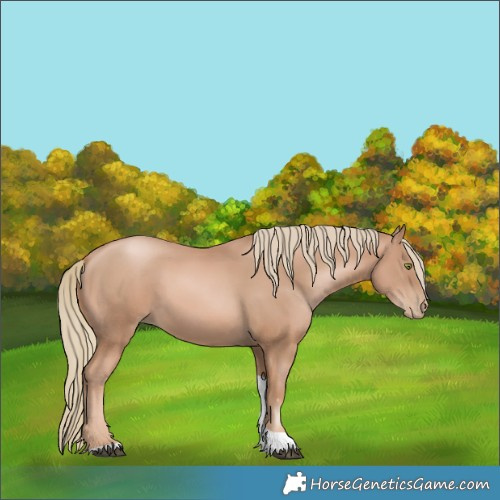 Horse Color:Chestnut Pearl Mushroom Tobiano