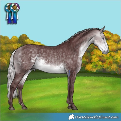 Horse Color:Chocolate Silver Buckskin Chinchilla 