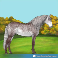 Horse Color:Chocolate Silver Buckskin Chinchilla 