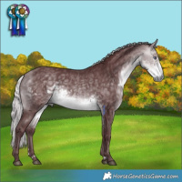 Horse Color:Chocolate Silver Buckskin Chinchilla 