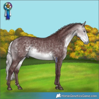 Horse Color:Chocolate Silver Buckskin Chinchilla