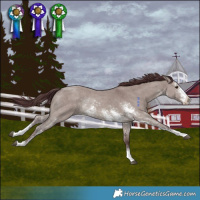 Horse Color:Chocolate Grullo Sabino Rabicano Brindle