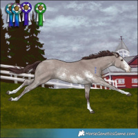 Horse Color:Chocolate Grullo Sabino Rabicano Brindle 