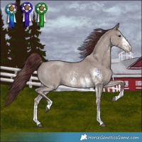 Horse Color:Chocolate Grullo Sabino Rabicano Brindle 