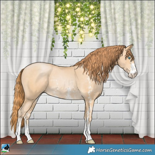 Horse Color:Buckskin Pearl Sabino 