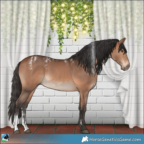 Horse Color:Powder White Bay Rabicano