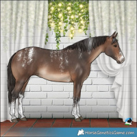 Horse Color:Powder White Brown Sabino Rabicano