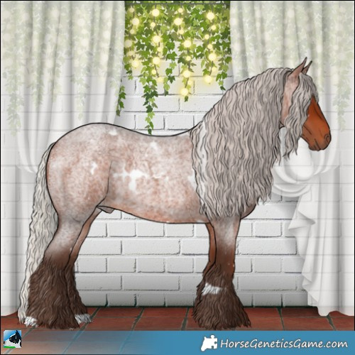 Horse Color:White Spotted Silver Bay Roan 