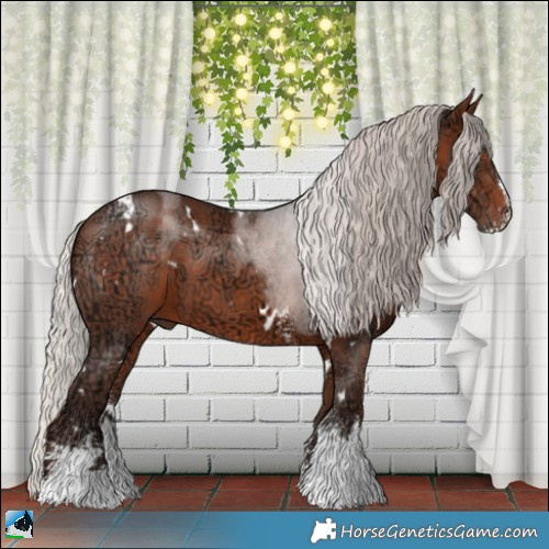 Horse Color:White Spotted Silver Brown Ice Sabino 