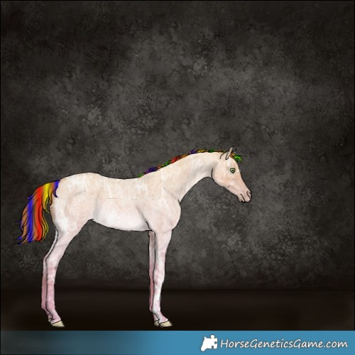 Horse Color:Painted Gold Champagne Ice Roan Dun Rabicano