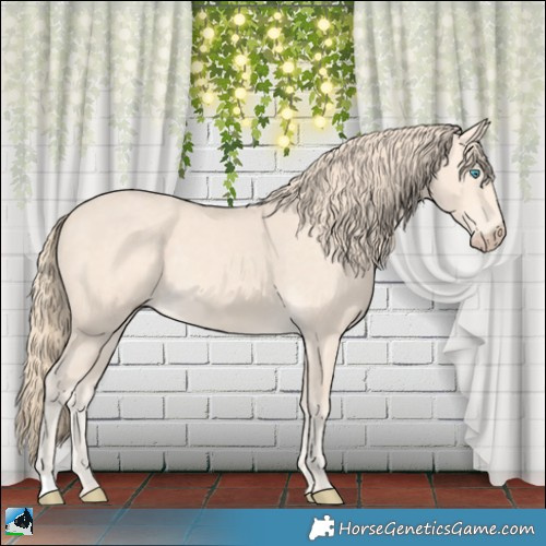 Horse Color:Perlino 