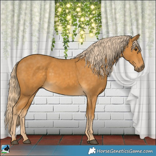 Horse Color:Palomino 