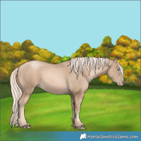 Horse Color:Chocolate Palomino Pearl