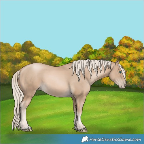Horse Color:Chocolate Palomino Pearl 