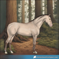 Horse Color:Amber Champagne Dun