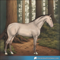 Horse Color:Amber Champagne Dun