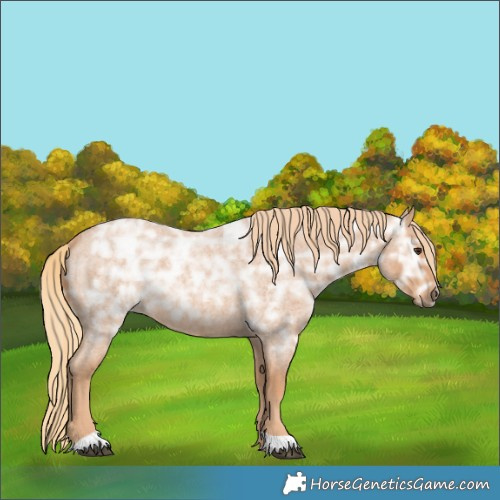 Horse Color:Red Ice Roan Rabicano