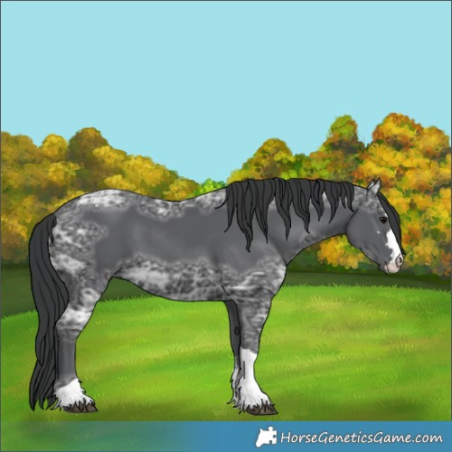 Horse Color:Black Ice 