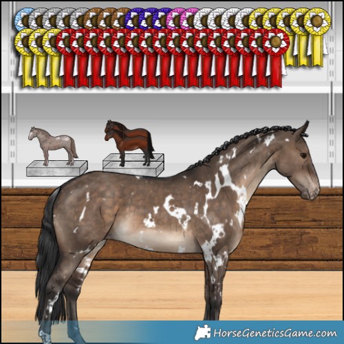 Horse Color:White Spotted Brown Dun Varnish 