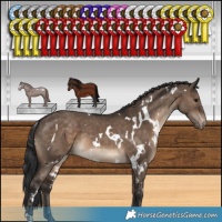 Horse Color:White Spotted Brown Dun Varnish 