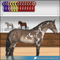 Horse Color:White Spotted Brown Dun Appaloosa 