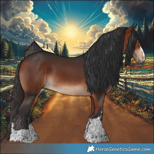 Horse Color:Bay Rabicano 