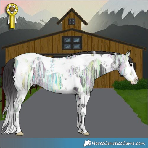 Horse Color:White Spotted Smoky Black Ice Splash Tobiano Rabicano 