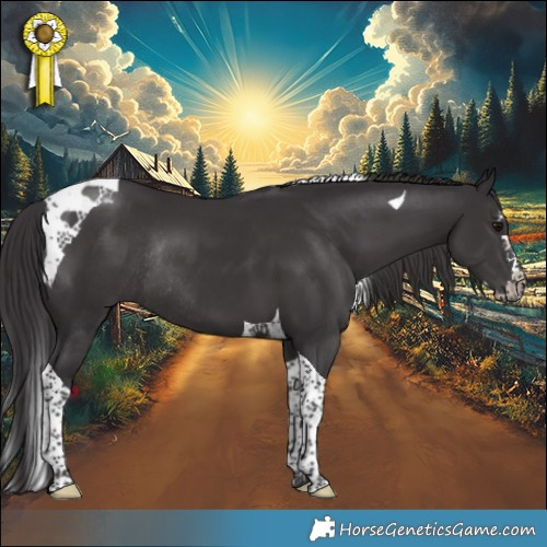 Horse Color:Smoky Black Splash Tobiano Rabicano 