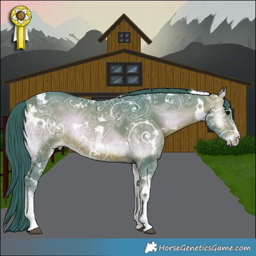 Horse Color:Watercolor White Spotted Brown Ice Onyx Rabicano 