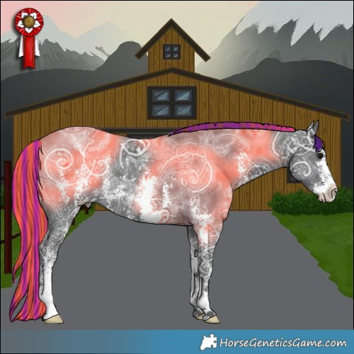 Horse Color:Painted Black Ice Sabino Appaloosa Rabicano 